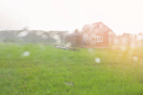 downpour in the garden