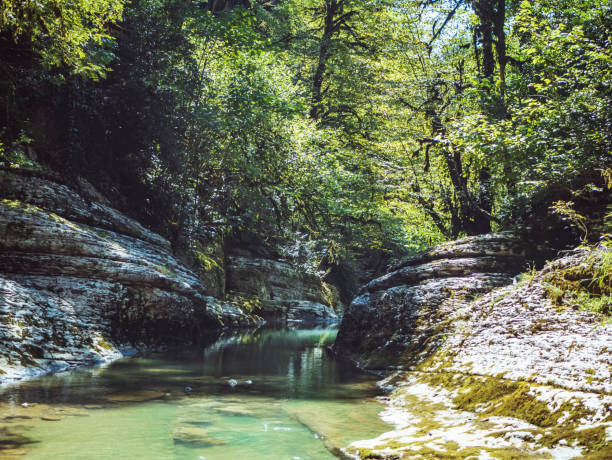 istock mountain canyon lake reflection stream tropics