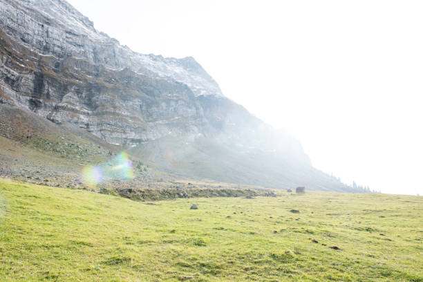 istock Beautiful view of valley mountain Saentis, Switzerland 875769904