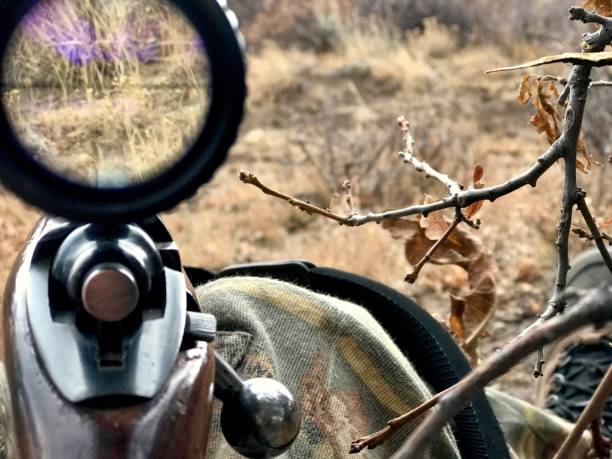 High Altitude Hunting rifle and scope Western Colorado