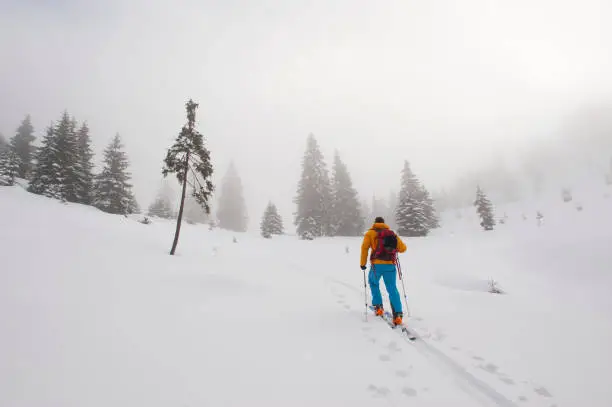 Mountain guide leading ski tour on a cold, foggy day, with lots of fresh snow.