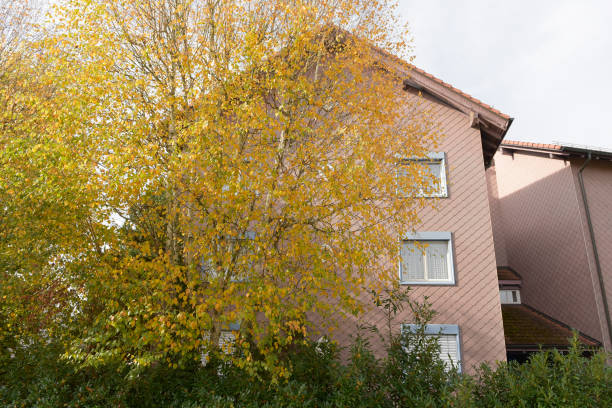 swiss house at autumn - canton obwalden imagens e fotografias de stock