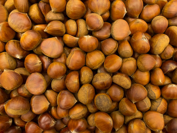 Lot of chestnuts for background