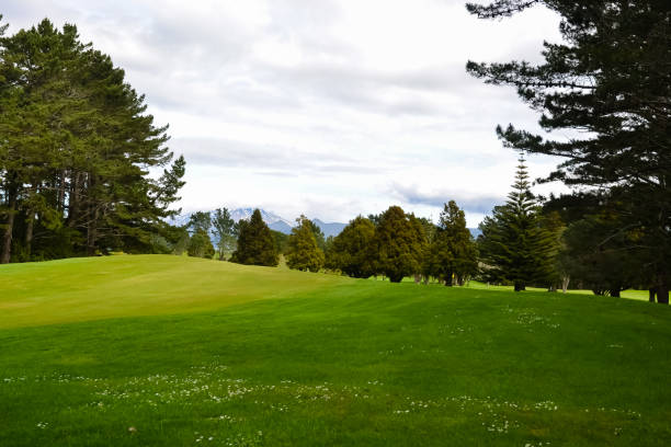 istock New Zealand Golf Course Green 875816030