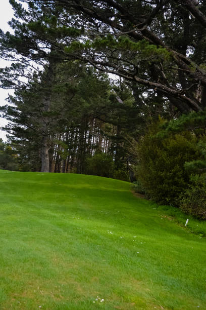 istock New Zealand Golf Couse Green 875820270
