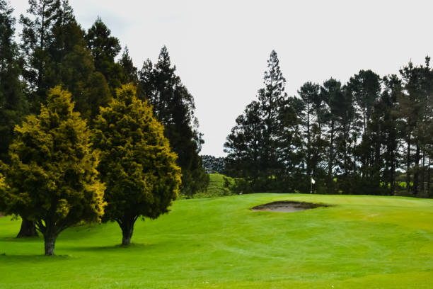 istock New Zealand Golf Course with Sand Trap 875835338