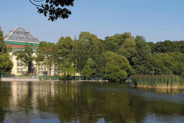 istock Pond in the city park. 875841362