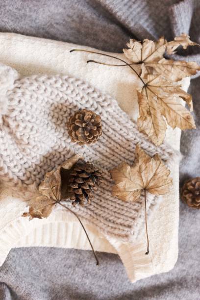 istock pinecone and dry autumn leaves 875844836