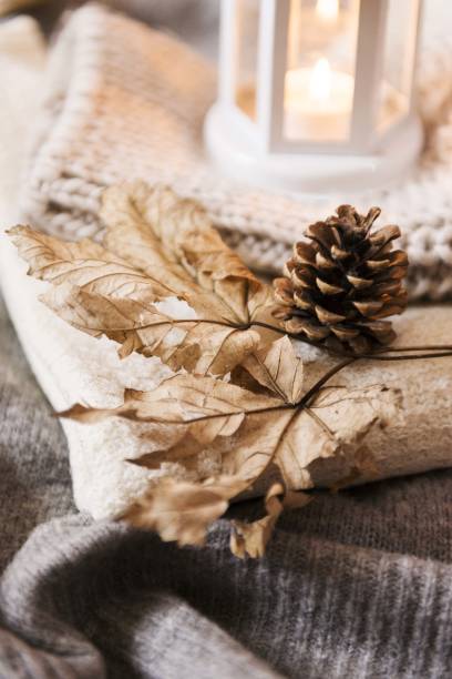 istock pinecone and dry autumn leaves 875844842