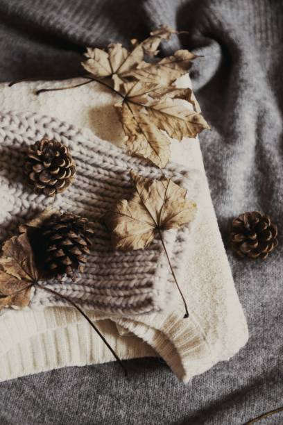 istock pinecone and dry autumn leaves 875844970