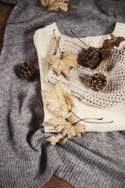 istock pinecone and dry autumn leaves 875844972