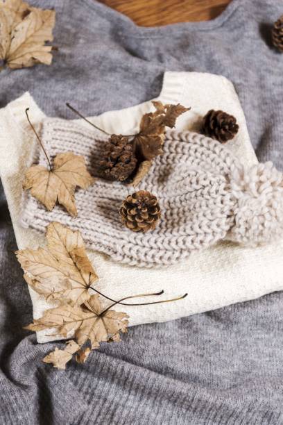 istock pinecone and dry autumn leaves 875844976
