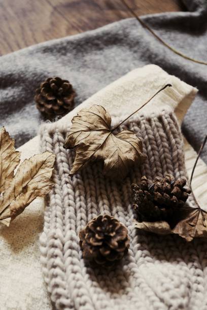 istock pinecone and dry autumn leaves 875844996