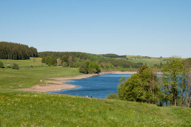 reservoir in the harz mountains in germany - germany reservoir water tree imagens e fotografias de stock