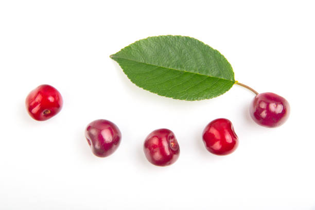 Cherry fruit with beautiful leaf with high Vitamin C in smile composition isolated