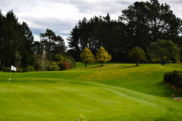istock New Zealand Golf Course driving range 875850004