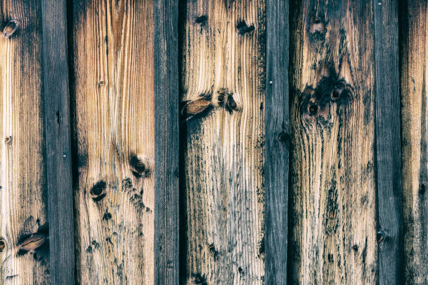 istock Vertical striped background from old faded boards 875853120