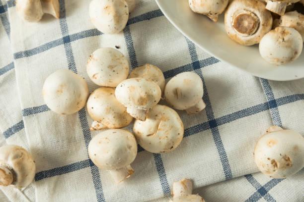 istock Raw White Organic Baby Button Mushrooms 875860834