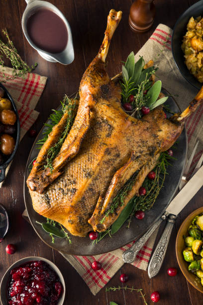 istock Homemade Festive Roasted Christmas Goose 875866134