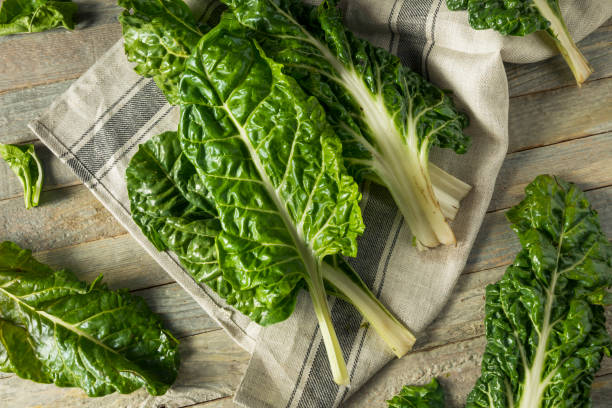 istock Raw Organic Green Swiss Chard 875879782
