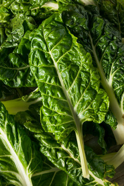istock Raw Organic Green Swiss Chard 875882310