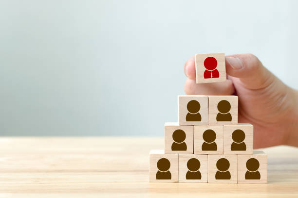 istock Human resource management and recruitment business concept 875888286