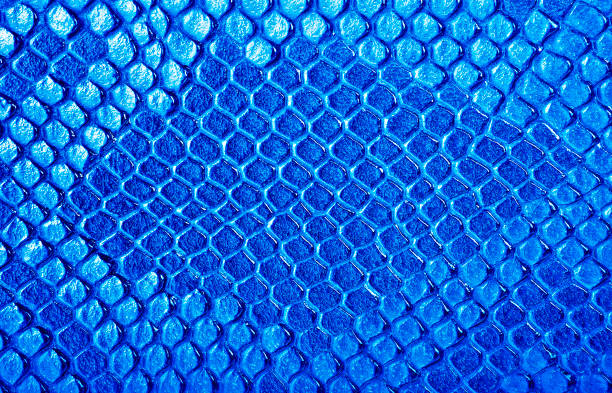 istock Blue snake skin, can be used as a background 875903112