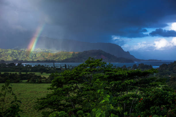 Hanalei, Kauai, Hawaii rainbow over the mointains, village of Hanalei main street, a dog on the beach, Hanalei pier at the sunset. hanalei bay stock pictures, royalty-free photos & images