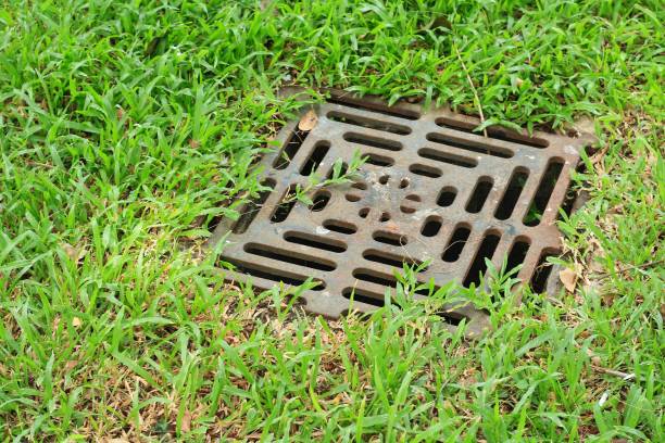 istock iron grate of water drain 875920454
