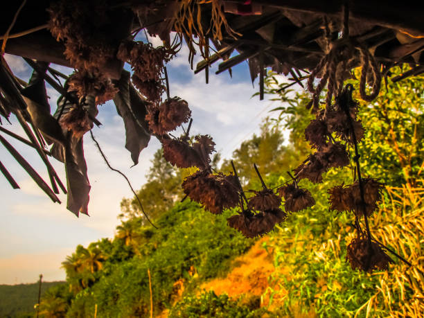 Gokarna OM beach trek