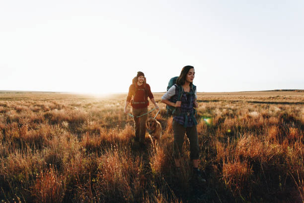 istock Couple hiking together in the wilderness 875941048