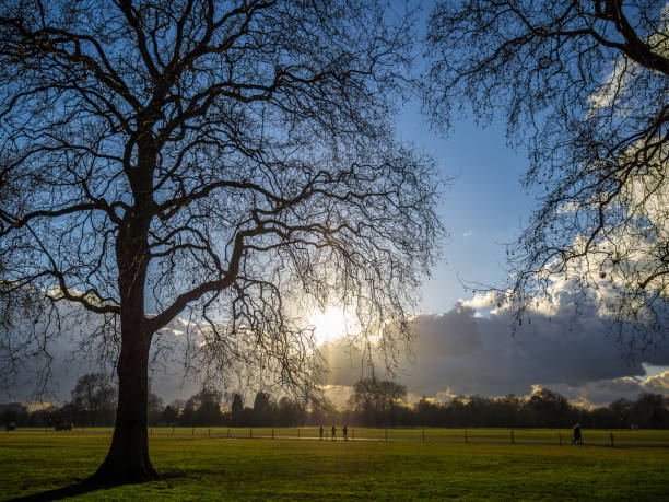 istock Walkers in London park with evening sun behind clouds 875947410