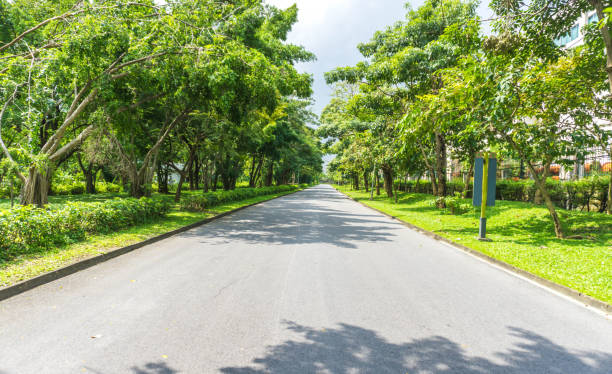 istock walkway in garden at bangkok,Thailand 875952030