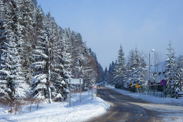 istock The road in the snowy forest. 875952656