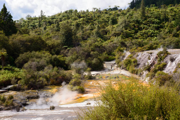 istock Wairakei Natural Thermal Valley 875955982