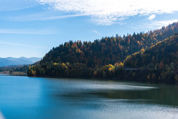 istock View at Colibita lake 875956538