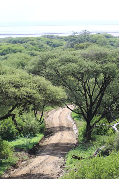 istock East Africa landscape 875961502
