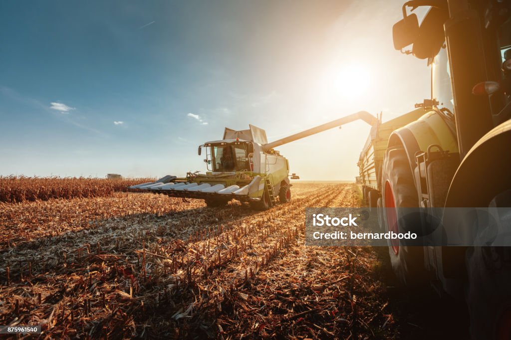 Harvesting in autumn Shot of a harvester in the field Agriculture Stock Photo