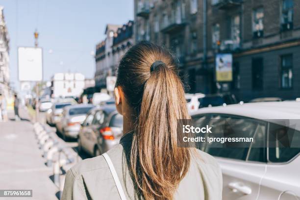 View From The Back Of A Girl With Brown Hair Stock Photo - Download Image Now - Ponytail, One Woman Only, Back