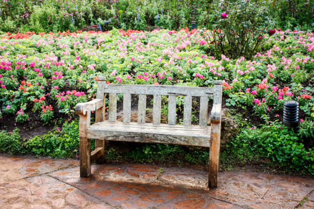 istock Old wooden bench in the park. 875965740