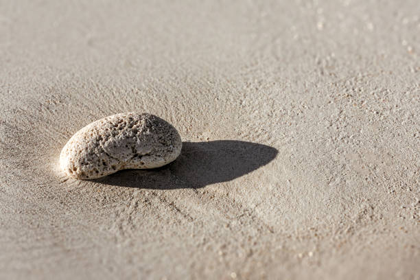 istock Peeble of dead coral 875968476