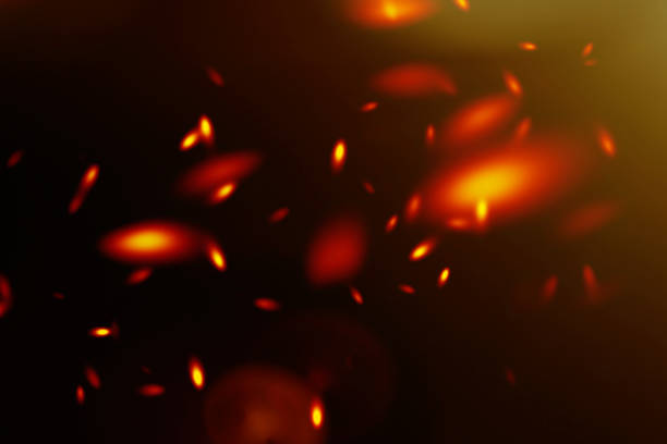 istock glitter vintage lights background. gold and black. defocused. 875973562