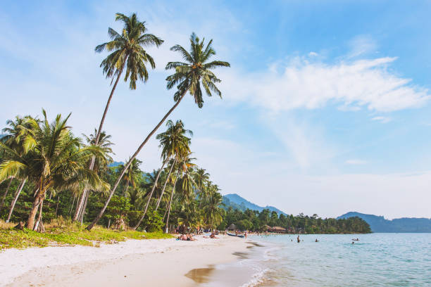 tropical beach in Thailand tropical beach in Thailand on Koh Chang island koh chang stock pictures, royalty-free photos & images