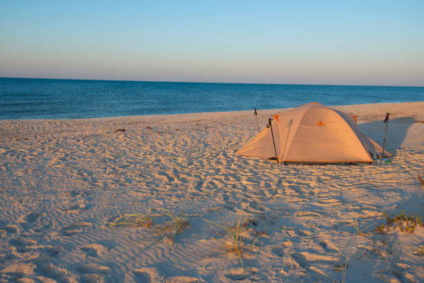 istock Tent on the beach in a rays of setting sun 875981012