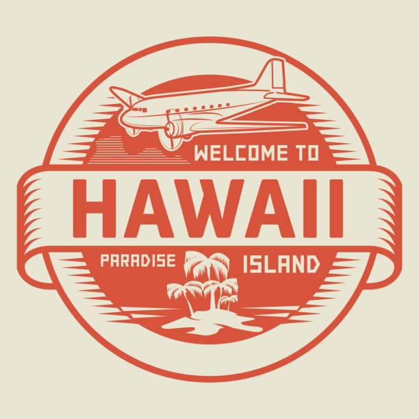 herzlich willkommen sie auf hawaii, paradise island - tropical climate airplane island hawaii islands stock-grafiken, -clipart, -cartoons und -symbole