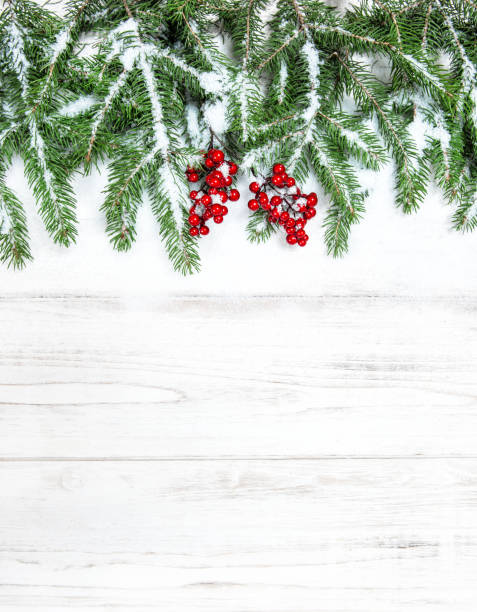 istock Christmas tree branches red berries decoration snow 876000074