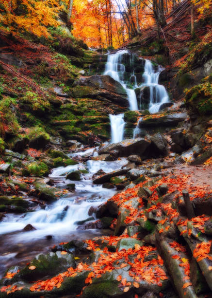 istock autumn waterfall, picturesque waterfall in the Carpathian Mountains 876004332