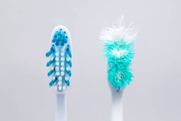 image of used old and new toothbrushes isolated on a white backg - cerda imagens e fotografias de stock