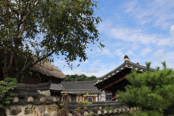 istock asian traditional village landscape 876007618