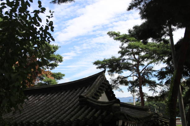 istock asian traditional village landscape 876007648
